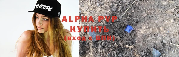 спиды Белокуриха