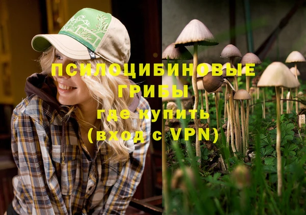 спиды Белокуриха