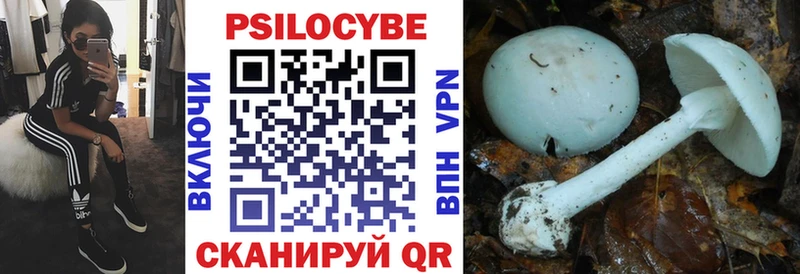Псилоцибиновые грибы Magic Shrooms  Вельск 