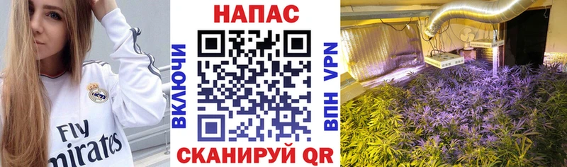 Канабис индика  Вельск 